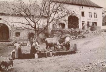 Dans les Vosges en 1903.