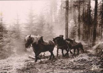 Les Vieux métiers - Les trois chevaux (Les Vosges)