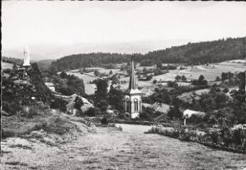 La Petite-Fosse (Vosges).