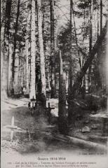 Guerre 1914-1918. Col de la Chipote - Tombes de Soldats Français et arbres coupés par les obus. Les deux sapins blancs sont criblés de balles.