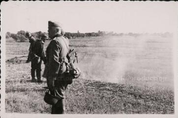 Soldats allemands dans un pré.