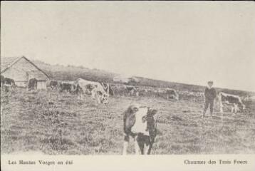 Les Hautes-Vosges en été. Chaumes des Trois Fours.