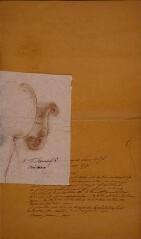 Landolfi, 1759 : gabarit, 2 empreintes d'effes, une empreinte de cello, notes.