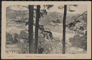 Épinal. - Panorama pris de la forêt Saint-Antoine.