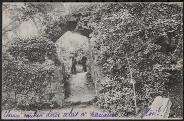 Château d'Épinal. - Poterne d'entrée de la cour basse.