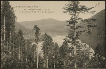 Gérardmer. Le lac vu des pentes de la forêt de Rougimont.