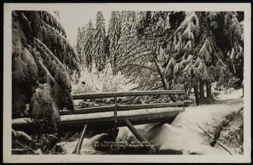 Gérardmer en hiver. - Le Pont d'Amour sous la neige.