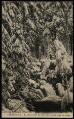 Environs de Gérardmer. - La passerelle du Saut des Cuves sous la neige.