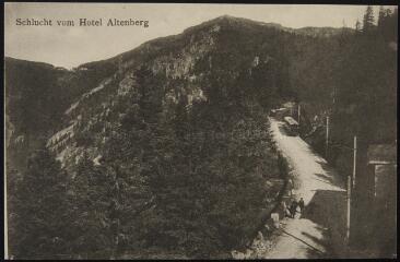 Schlucht vom Hotel Altenberg.