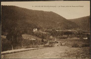 Vallée de Celles (Vosges). - Le Trupt, près de Raon-sur-Plaine.