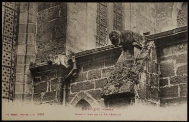 [Saint-Dié]. - Gargouilles de la cathédrale.