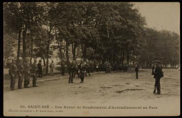 Saint-Dié. - Une revue de gendarmerie d'arrondissement au parc.