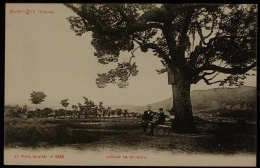 L'Orme de Saint-Roch.