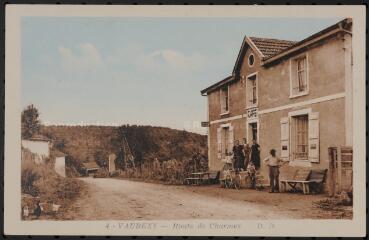 Vaubexy. - Vue de la route de Charmes.