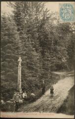 Bruyères-en-Vosges. - La Croix-de-Faîte.