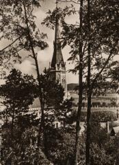 Basilique nationale sainte Jeanne d'Arc. La flèche vue du Bois Cheny.