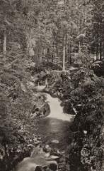 Environs de Gérardmer - Le Saut des Cuves.