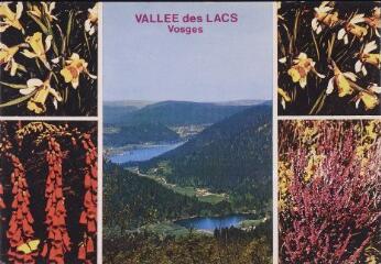 Vallée des Lacs. Vosges.