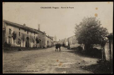 Chamagne. - Route de Bayon.