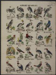 Alphabet des oiseaux.