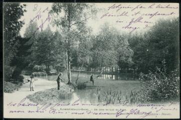 Plombières-les-Bains. - Un coin du lac du parc.