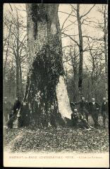 Chêne des Partisans.