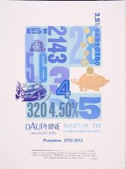 Dauphine, master 218 : assurance et gestion du risque, promotion 2012-2013.
