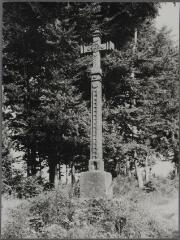 Bellefontaine - croix de chemin du Pont-Jeanson - 1723. – Vue d'ensemble ; croix sculptée du monogramme I.H.S. et d'une fleur, fût sculpté d'une niche et d'une échelle.