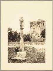 Chaumousey - croix de chemin dite de l'Abbaye. – Vue d'ensemble.