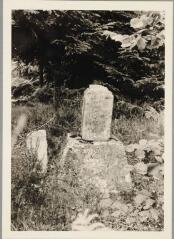 Girmont-Val-d'Ajol - croix de chemin dite du Rondé, au Corfaing [Colfaing] - 1606. – Vue de la partie du fût qui n'a pas été détruite.