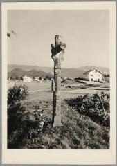 Vagney - croix de chemin de Peccavillers. – Vue d'ensemble ; Christ en croix, fût sculpté d'un saint.