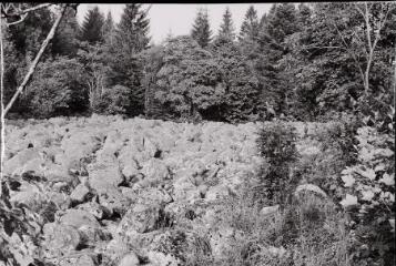 Barbey-Seroux. – Vue du champ des Roches